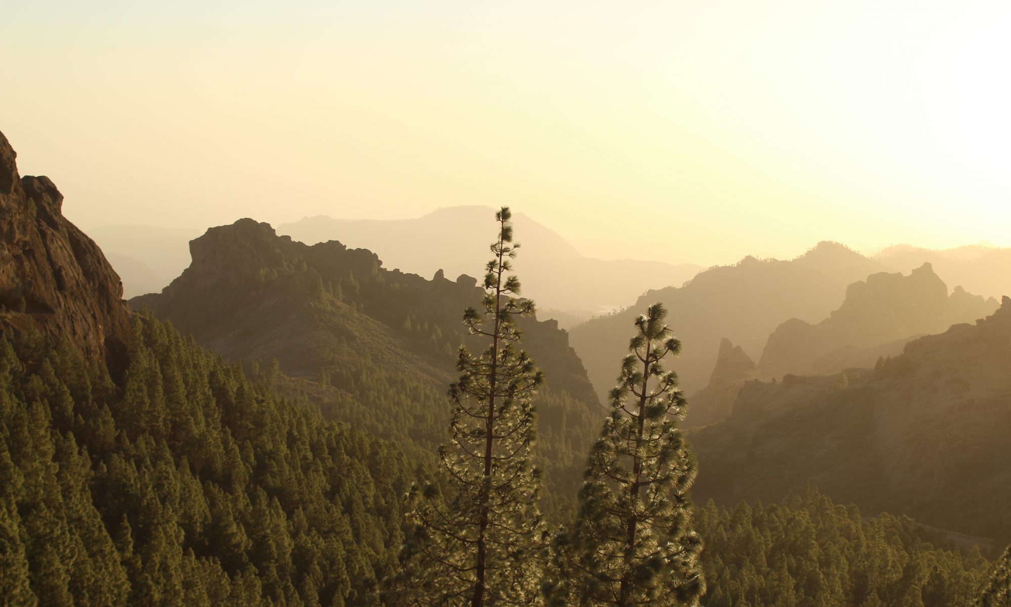 Paisaje de bosque y montañas en Gran Canaria. En el cielo se aprecia la calima.